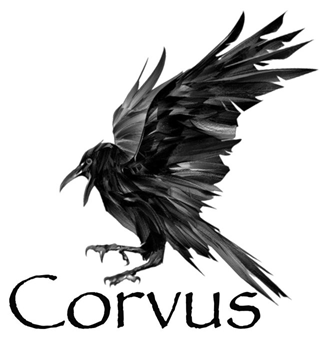 Corvus har adresse på kontorhotel Værftet.biz i Køge